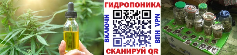 Купить закладки  Дубовка  Cannafood конопля 