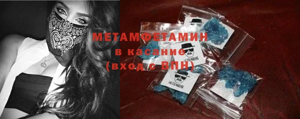 индика Инта