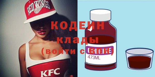 индика Инта