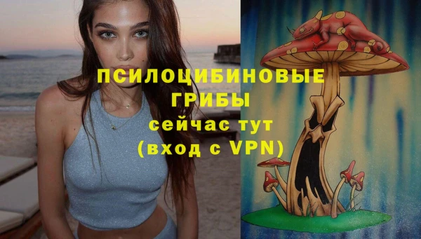 стаф Зеленокумск