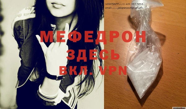 индика Инта