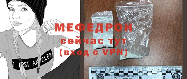 индика Инта
