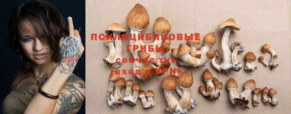 прущий лед Иннополис
